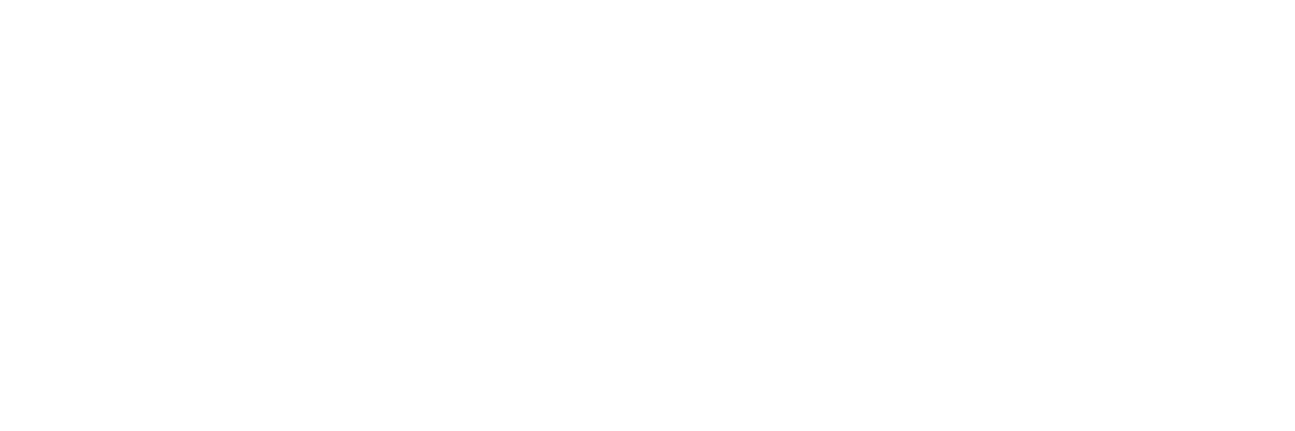 Clemco logo i hvid, uden baggrund